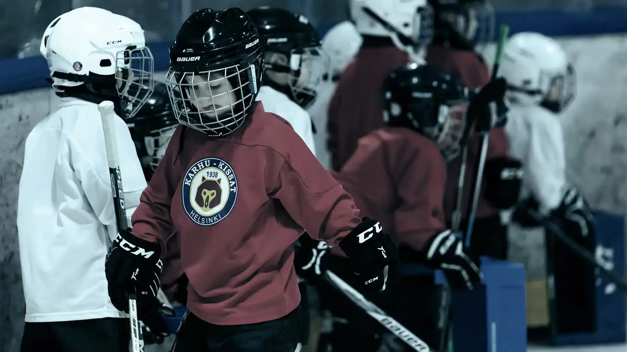 VePe - IcePro - X-SERIEN - Bilde 2